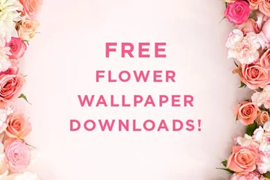 D E S I G N L O V E F E S T » DRESS YOUR TECH / 130