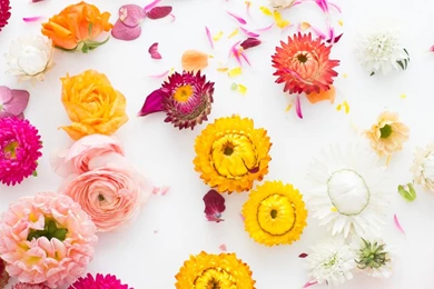 Our DIY Boutonniere Class With Creative Bug!