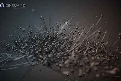 Cute HD Pictures: Wallpapers 4d Free Download