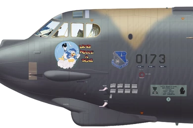 Download B52 Cu Wallpapers 1445x812