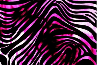 Pink And Black Zebra Wallpapers   Wallpapers Zone