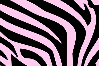 Zebra Glefia.com Wallpapers