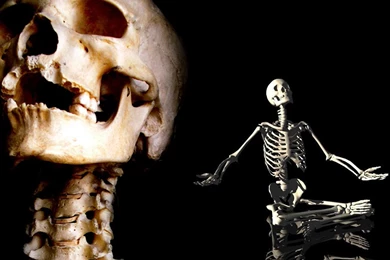 Wallpaper: Skeleton Wallpapers