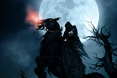 Halloween Skeleton Wallpapers Wide : Other Wallpapers   Kokean.com