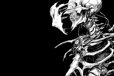 Skeleton Computer Wallpapers, Desktop Backgrounds