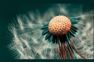 A Place For Free HD Wallpapers