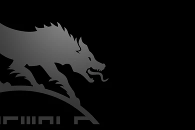 Mgs 4 Wallpapers   Wallpapers Cave