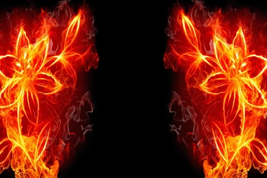 Flower Fire Twitter Backgrounds, Flower Fire Twitter Layouts ...