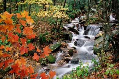 HQ Waterfalls Mountain Wallpaper, HQ Backgrounds