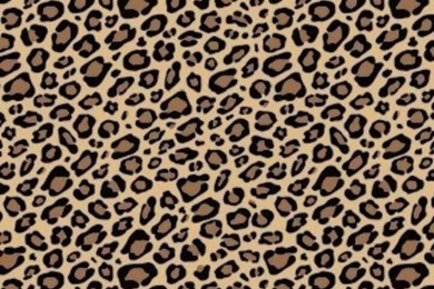 Best New Cute Cheetah Print Wallpapers HD For iPhone . Best High ...