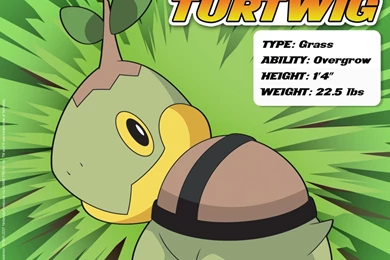 Wallpapers   Pokephotos Style