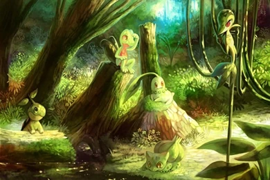 Starters Grass Bulbasaur Chikorita Treeko Turtwig Snivy