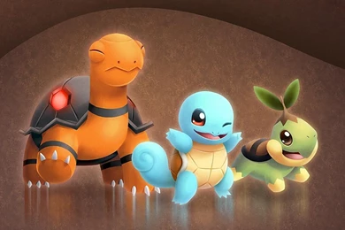 TORKOAL SQUIRTLE TURTWIG WALLPAPER   (