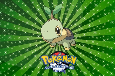 Turtwig Wallpapers   Wallpapers Cave