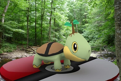 Turtwig 3D By Gephoria On DeviantArt