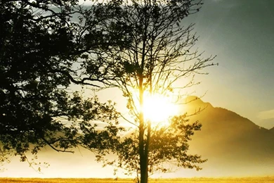 Natural Scenery HD Big Picture iPhone 6 Wallpapers And iPhone 6 ...