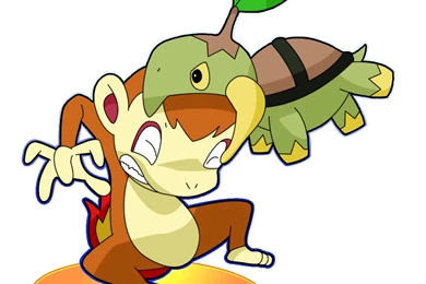 Turtwig By Concore On DeviantArt