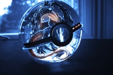 Pokemon Squirtle Soft Shading Turtwig – Anime Pokemon HD Desktop ...