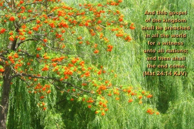 Favorite Scenic Bible Versed Wallpapers