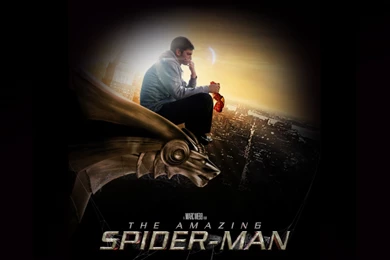 The Amazing Spider Man 2012 Wallpapers And Backgrounds, Facebook ...