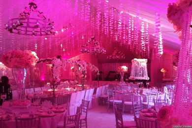 Romantic Wedding Wallpapers   Crazy Frankenstein