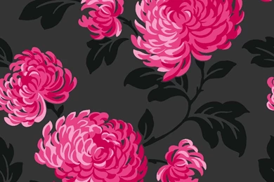Pink And Black Wallpapers