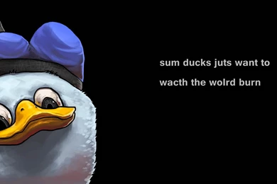 Funny HD Desktop Backgrounds, Pictures (High Quality)   All HD ...