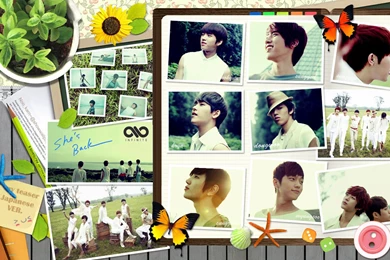 Infinite she's Back   Infinite (인피니트) Wallpapers (33719655 ...