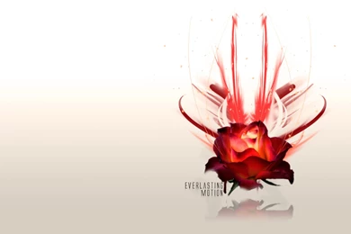 Love Desktop Wallpapers