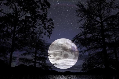 SILENT NIGHT WALLPAPER   (