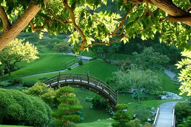 India Nature Wallpapers   HD Wallpapers And Pictures