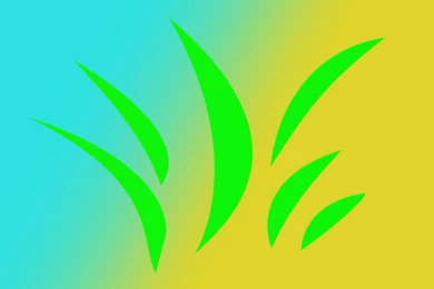 Nature Images Wallpapers Hd For Desktop