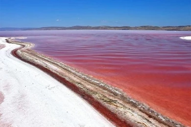 Rromantic Wallpapers Shayari,shayari Good Morning,latest Dard ...