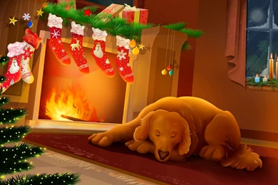 Free Screensavers And Wallpapers   KScreensavers.com