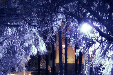 Winter Silent Night iPhone 6 Wallpapers, iPhone 6 Backgrounds And ...