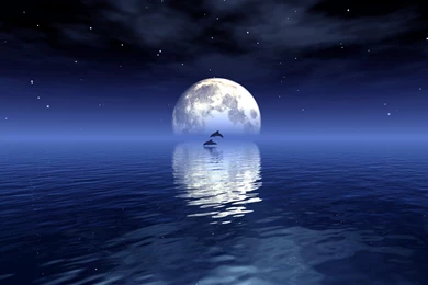 Vue7 silent Night By Stella666 On DeviantArt