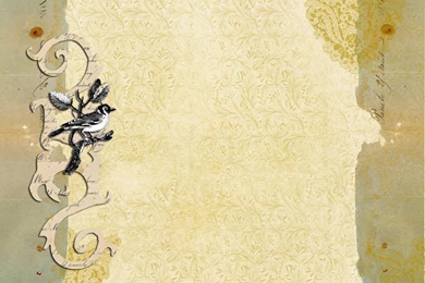 Aged Backgrounds With Bird Photo By Jeweledfrog_photo