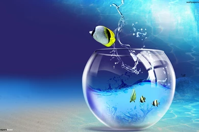 A Fishbowl Under Water HD Wallpapers