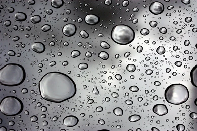 Rain Water Drops Best Widescreen Backgrounds Awesome