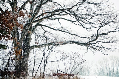 Wallpapers Archives   Central PA Commercial & Editorial Photography ...