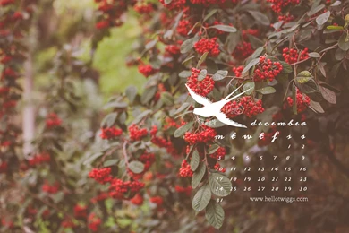 Hello December Wallpapers   Free Large Images