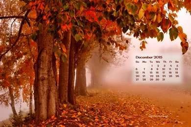 Top Calendar Wallpapers December 2015 Wallpapers