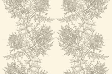 Timorous Beasties Wallcoverings   Thistle Superwide Wallpapers