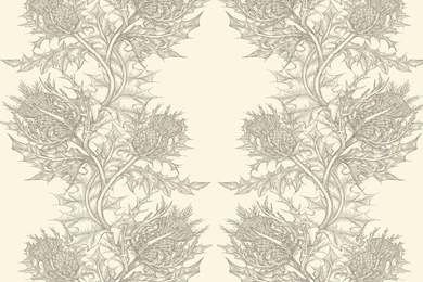 Timorous Beasties Grand Thistle Vinyl Wallpapers   Gold