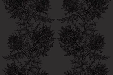 Timorous Beasties Wallcoverings   Thistle Superwide Wallpapers