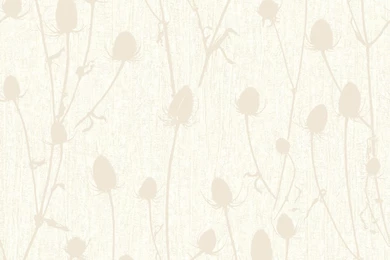 Floral Wallpapers Thistle Flowers Muriva J513   MurivaMuriva