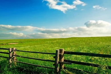 Spring Meadow Wallpapers   Wallpapers Cave