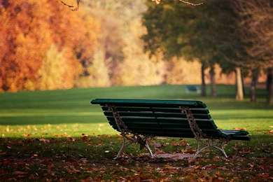 Autumn Bench Meadow Wallpapers