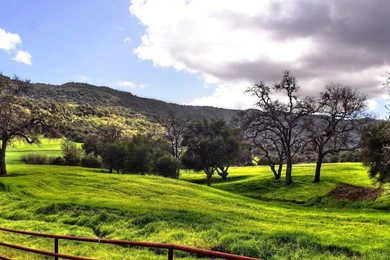 Spring Meadow HD   HD Wallpapers