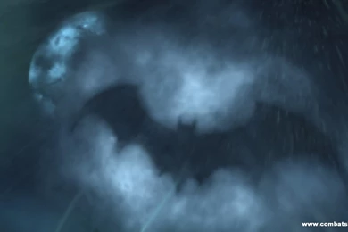 Parrots, Paddling, And Ponderings: Where Tired Bats Hang Their ...